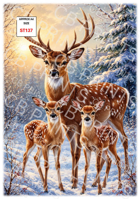 Stag design ST137