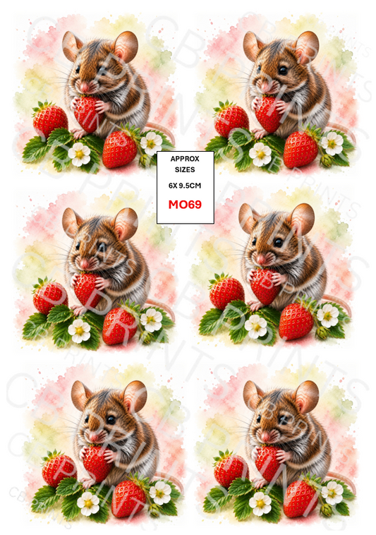 Mouse design MO69