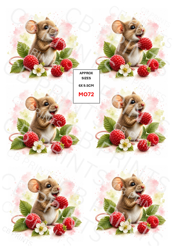 Mouse design MO72