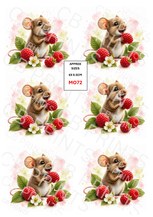Mouse design MO72