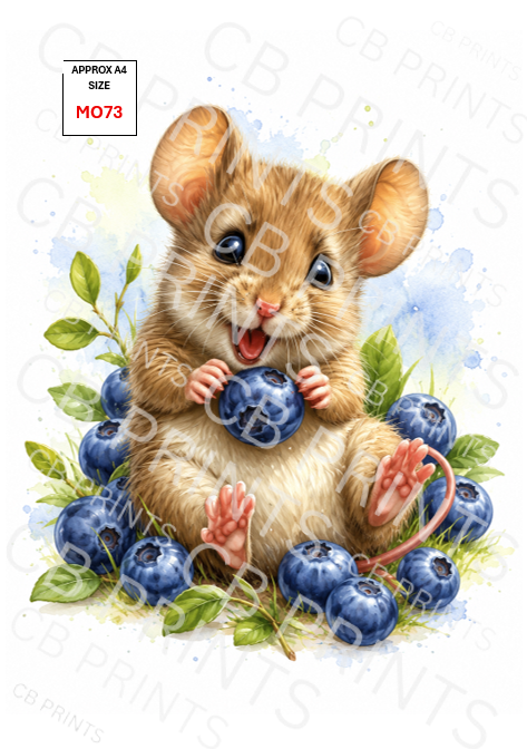 Mouse design MO73