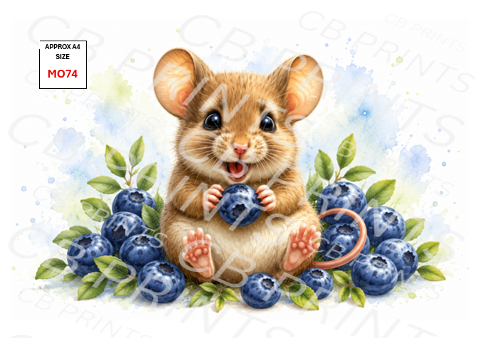 Mouse design MO74