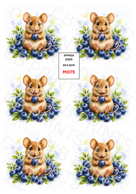Mouse design MO75