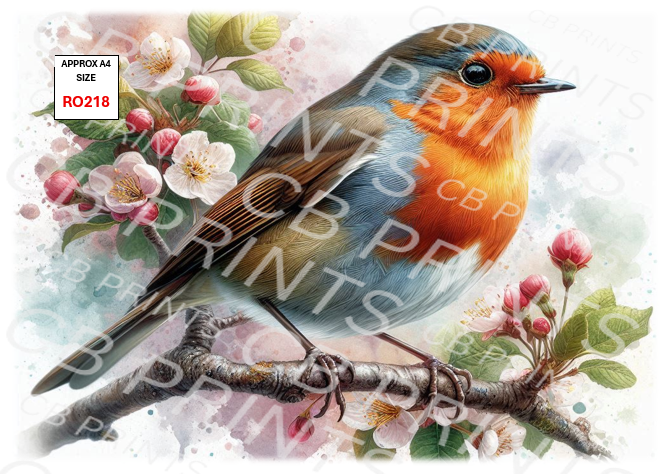 Robin Decoupage Print RO218 | Mulberry Paper