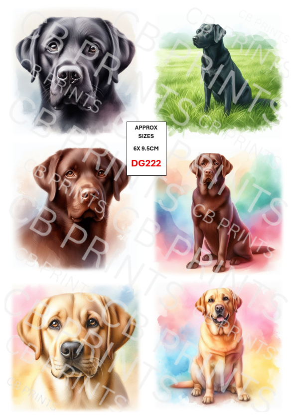 Labrador Dog Decoupage Print DG223 | Mulberry Paper