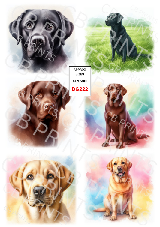 Labrador Dog Decoupage Print DG223 | Mulberry Paper