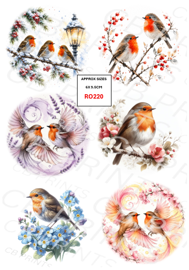 Robin Decoupage Print RO220 | Mulberry Paper
