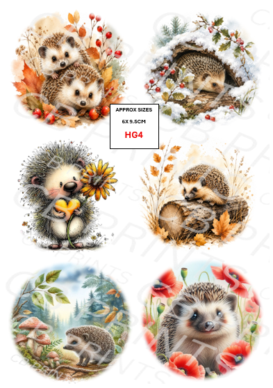 Hedgehog Decoupage Print HG4 | Mulberry Paper