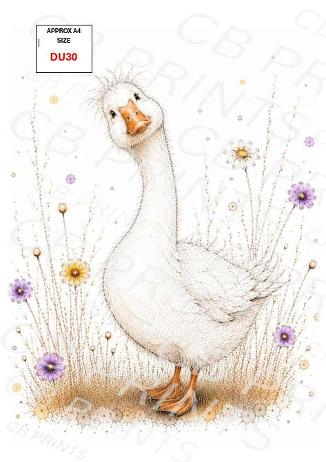 Duck Decoupage Paper DU30 – Mulberry Paper Print