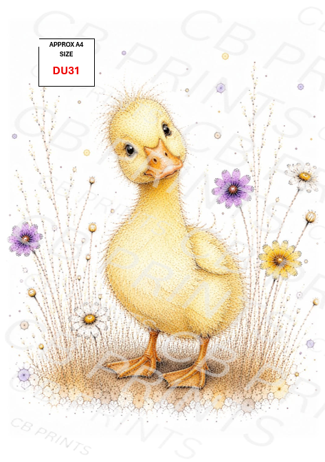 Duck Decoupage Paper DU31 – Mulberry Paper Print