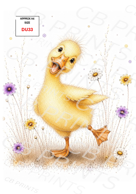 Duck Decoupage Paper DU33 – Mulberry Paper Print