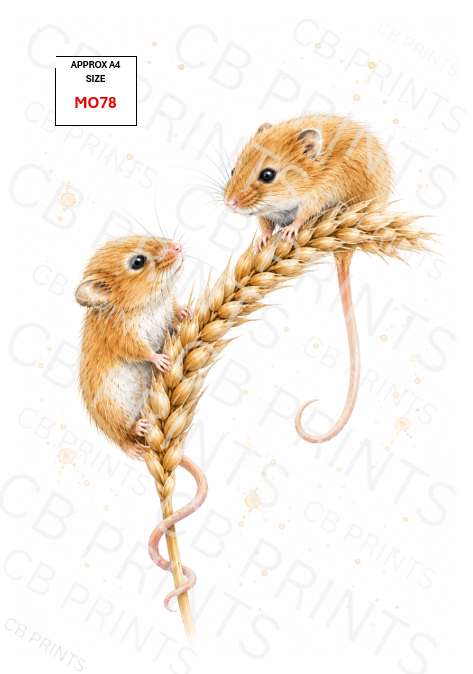 Mouse Decoupage Paper MO78 – Mulberry Paper Print