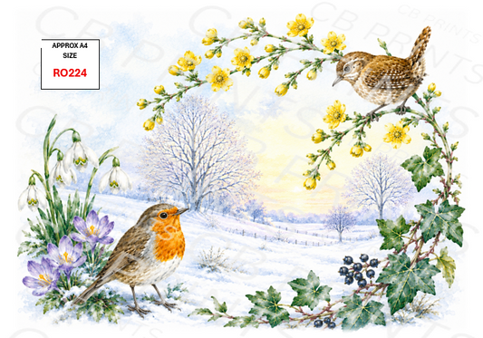 Robin Decoupage Print RO224 | Mulberry Paper