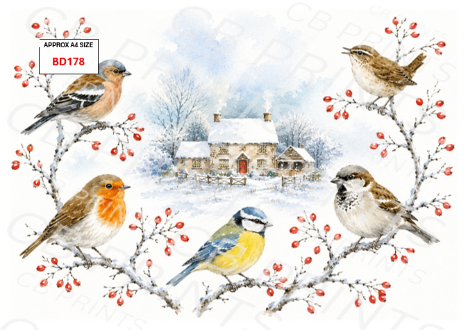 Bird Decoupage Print BD178 | Mulberry Paper