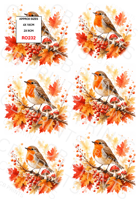 Robin Decoupage Paper RO232 – Mulberry Paper Print