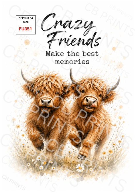 Funny Highland cow Decoupage Print FU351 | Mulberry Paper