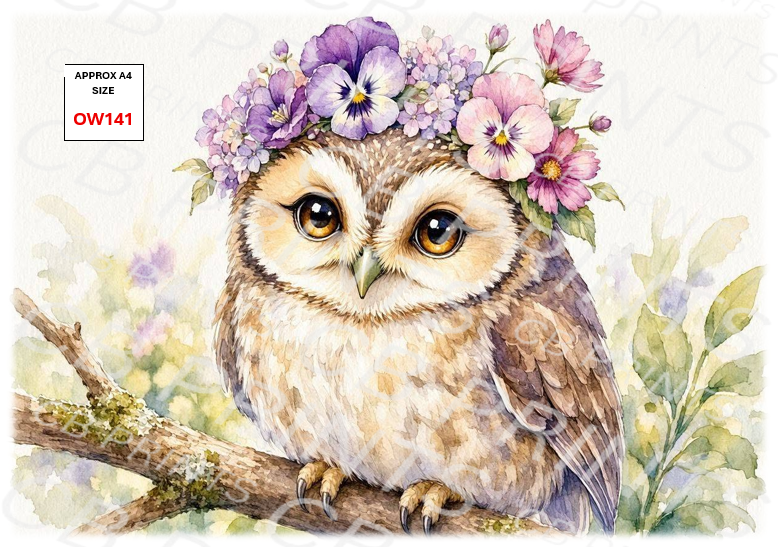 Owl Decoupage Paper Print OW141 – Mulberry Paper