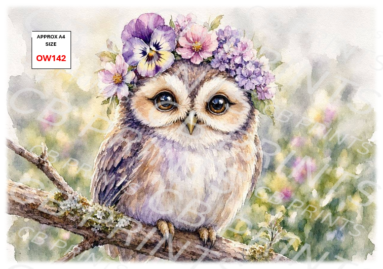 Owl Decoupage Paper Print OW142 – Mulberry Paper