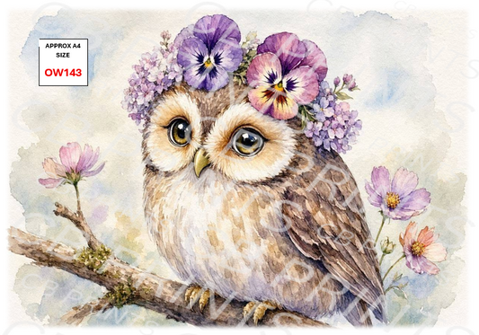 Owl Decoupage Paper Print OW143 – Mulberry Paper