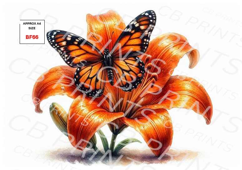 Butterfly Decoupage Paper Print BF66 – Mulberry Paper