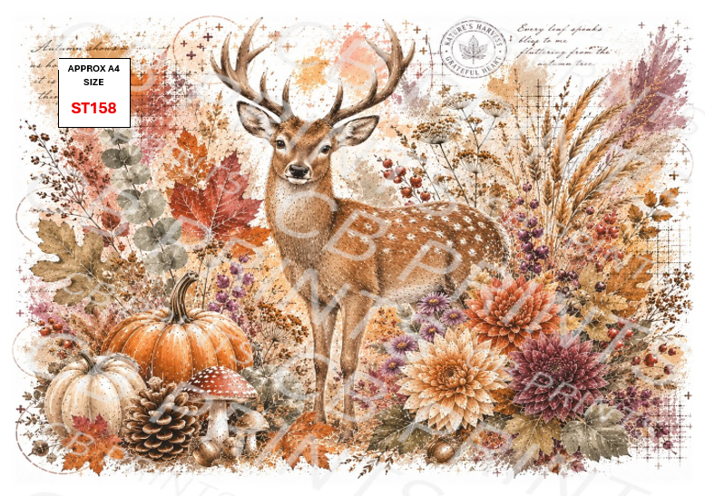 Stag Decoupage Print ST158 | Mulberry Paper