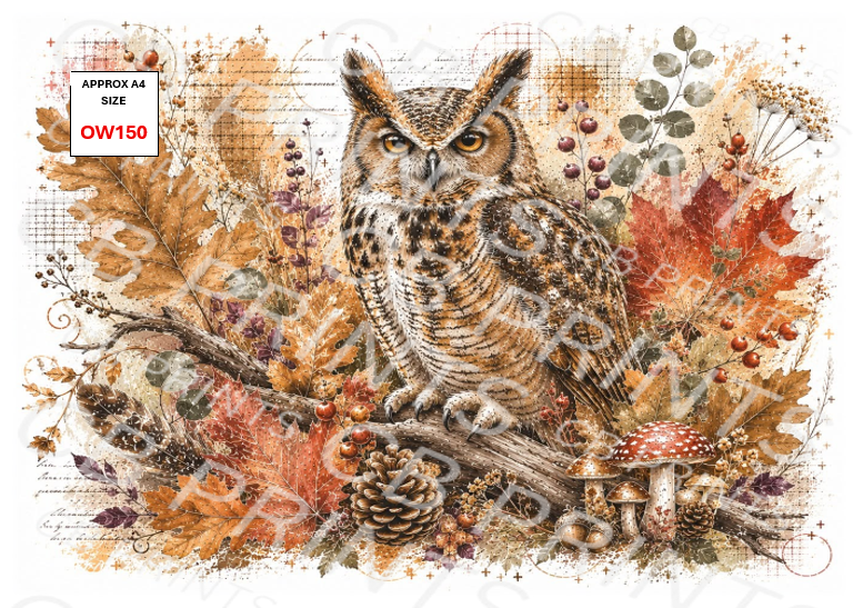 Owl Decoupage Paper Print OW150 – Mulberry Paper