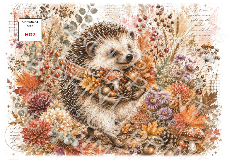 Hedgehog Decoupage Print HG7 | Mulberry Paper