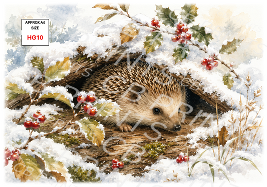Hedgehog Decoupage Print HG10 | Mulberry Paper