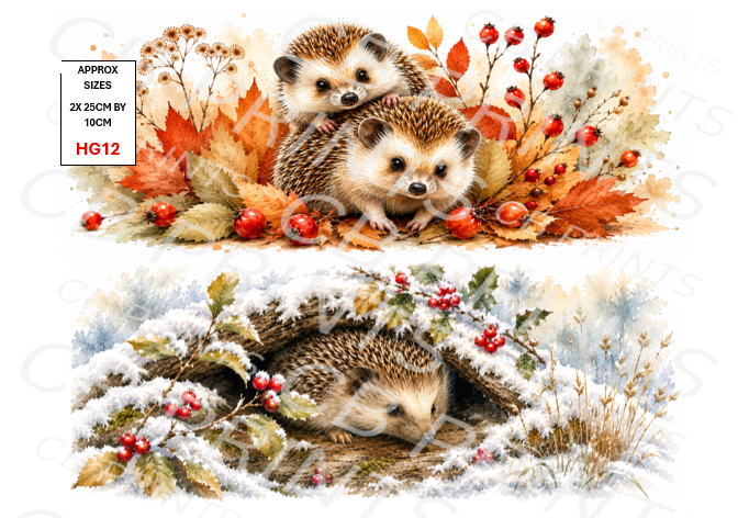 Hedgehog Decoupage Print HG12 | Mulberry Paper