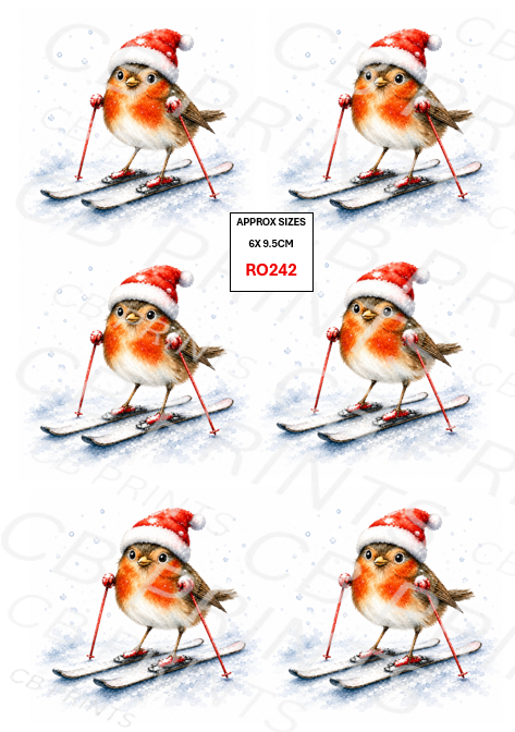 Robin Decoupage Paper Print RO242 | Mulberry Paper