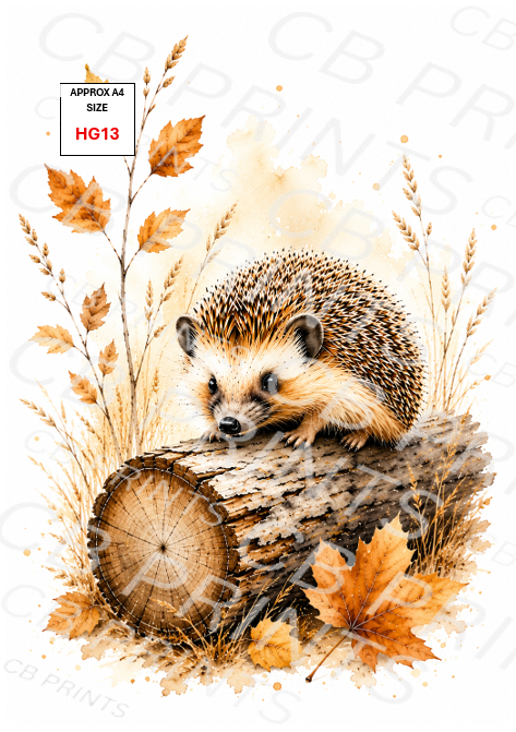 Hedgehog Decoupage Print HG13 | Mulberry Paper