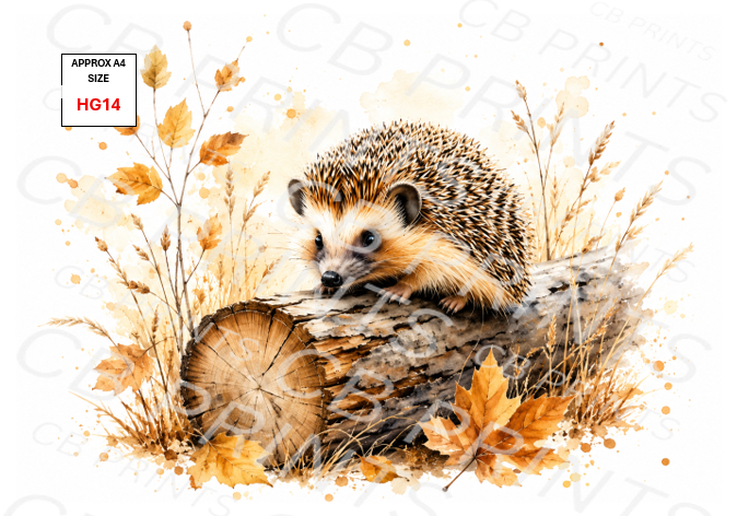 Hedgehog Decoupage Print HG14 | Mulberry Paper