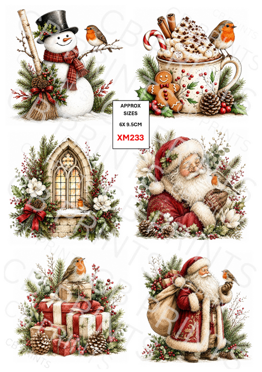 Robin Decoupage Paper Print XM233 | Mulberry Paper