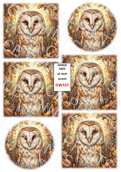 Owl Decoupage Paper Print OW151 – Mulberry Paper