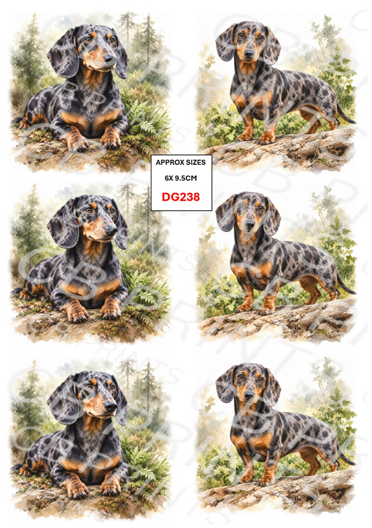 Dachshund Dog Decoupage Print DG238 | Mulberry Paper