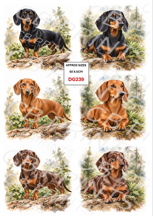 Dachshund Dog Decoupage Print DG239 | Mulberry Paper