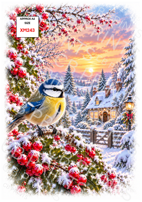 Blue tit Christmas Decoupage Paper Print XM243 – Mulberry Paper