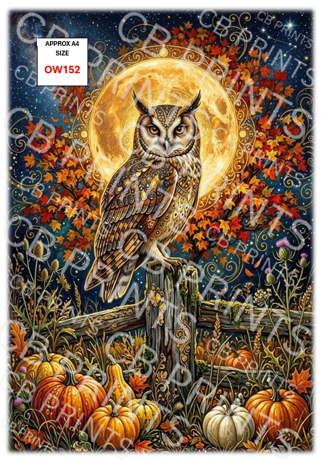 Owl Decoupage Paper Print OW152 – Mulberry Paper