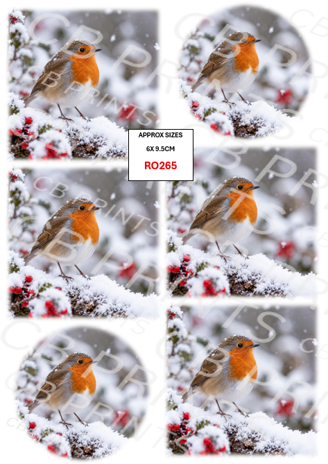 Robin Decoupage Paper Print RO265 | Mulberry Paper