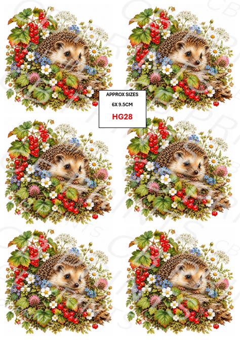 Hedgehog Decoupage Print HG28 | Mulberry Paper
